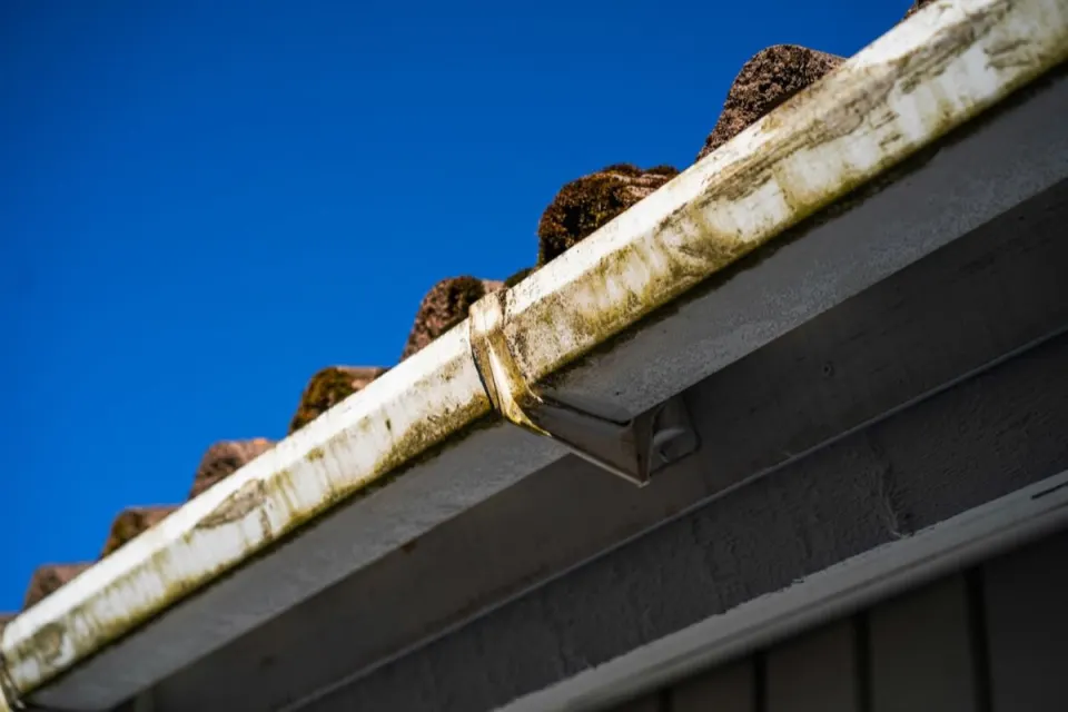 Roof and guttering before a clearance and maintenance visit