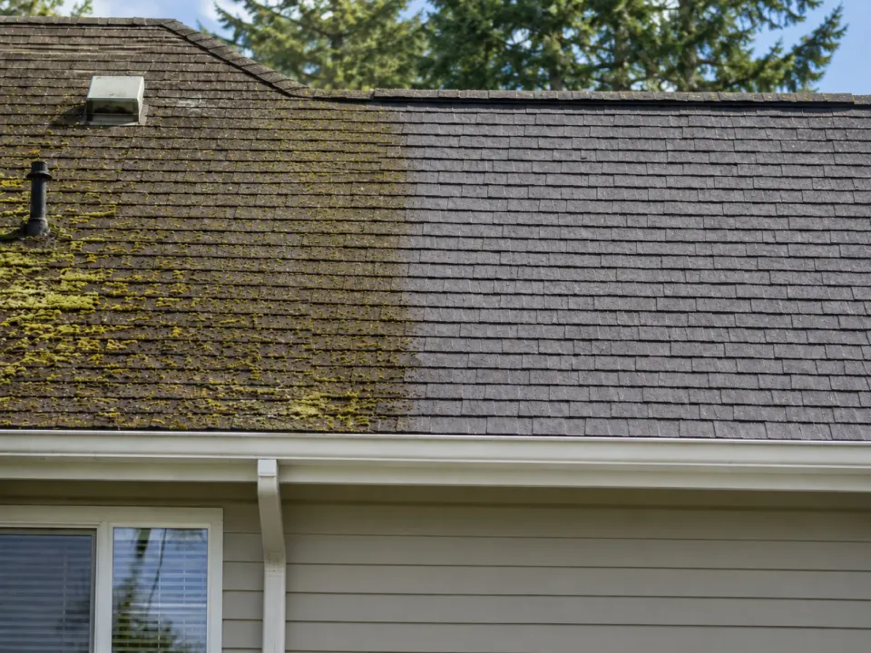 A roof half-covered in moss next to the same section cleaned back to bare shingle